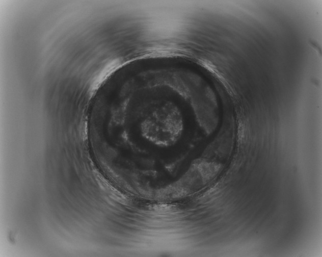 X0000102801459200809021125