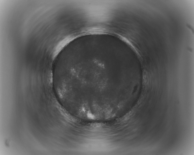 X0000102801461200809021125