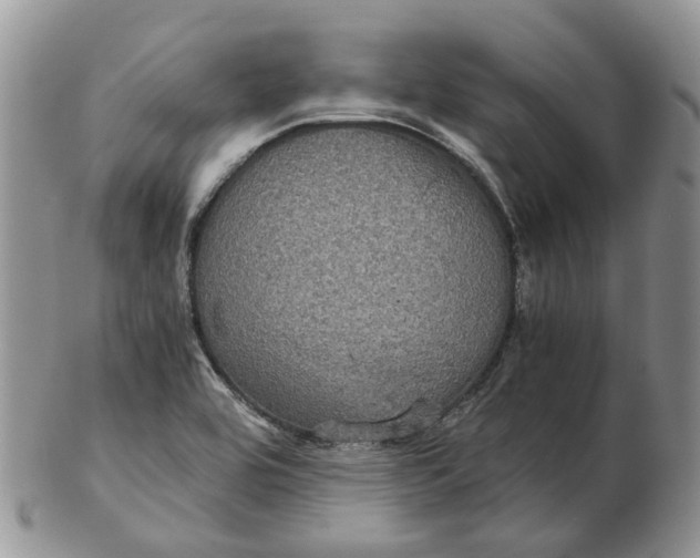 X0000102801464200809021125