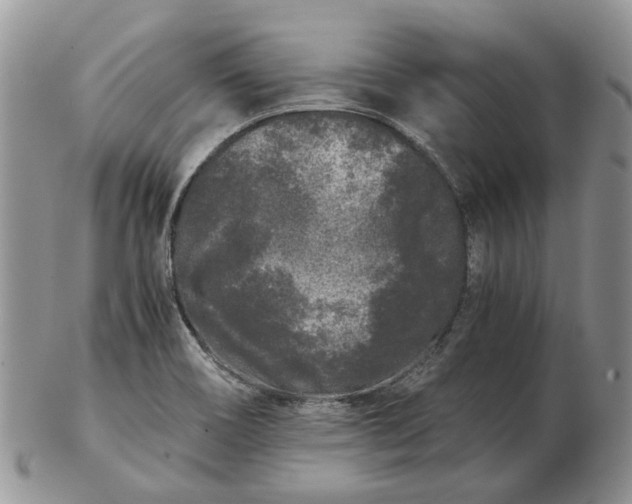 X0000102801466200809021125