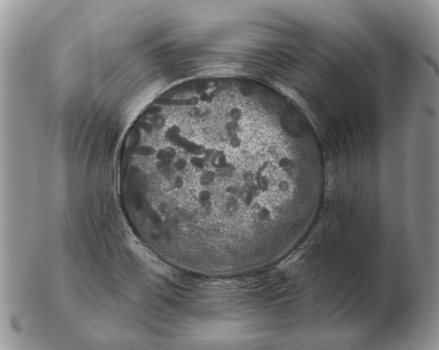 X0000102801467200809021125