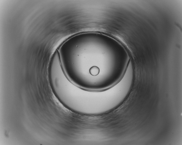 X0000102801468200809021125