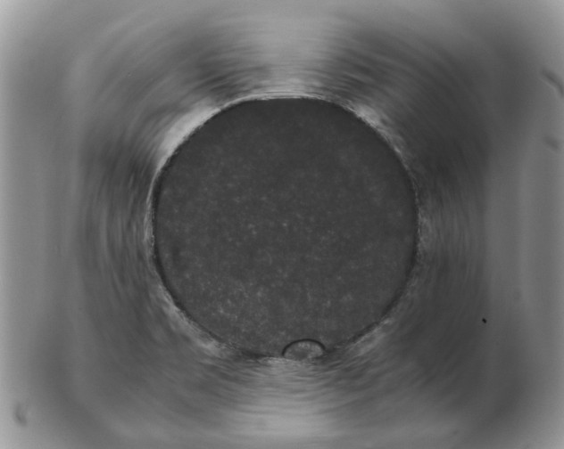 X0000102801469200809021125