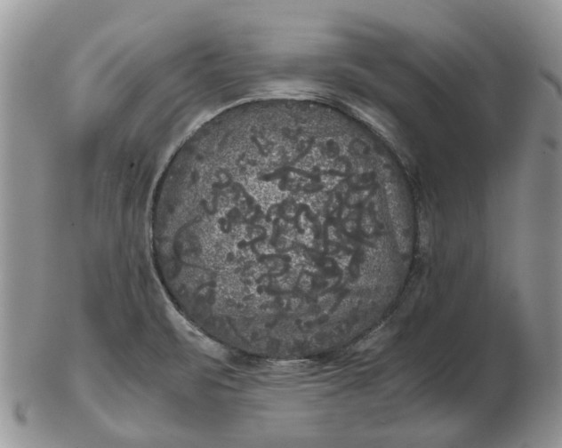 X0000102801471200809021125