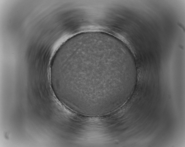 X0000102801472200809021125