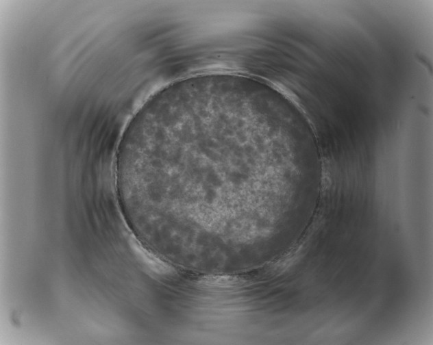 X0000102801474200809021125