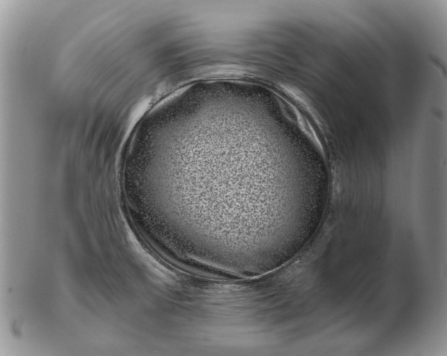 X0000102801475200809021125