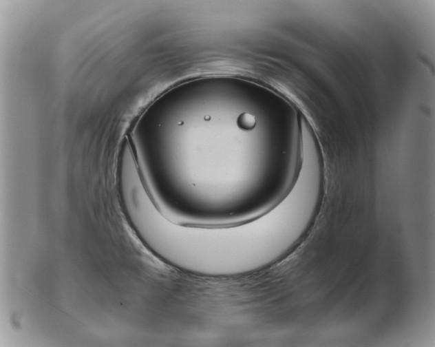 X0000102801477200809021125