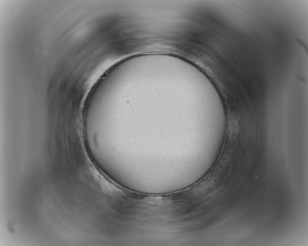 X0000102801478200809021125