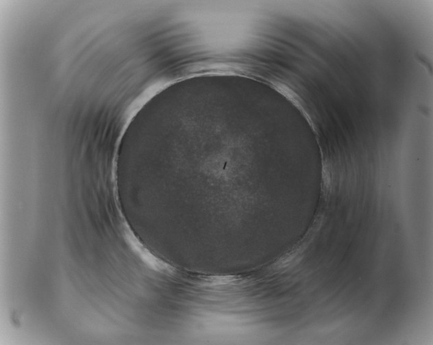 X0000102801482200809021125