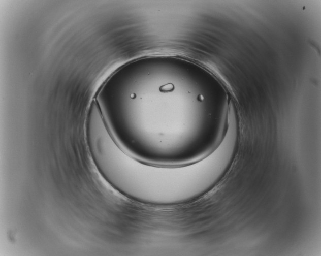 X0000102801484200809021125