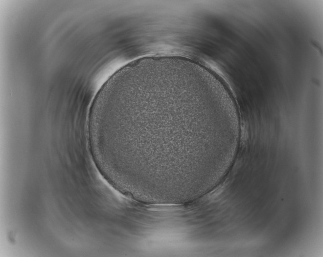 X0000102801487200809021125