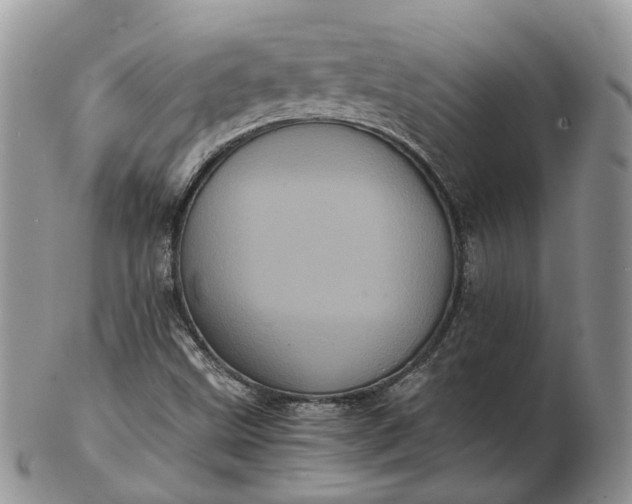 X0000102801499200809021124