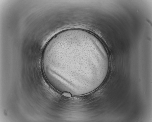 X0000102801500200809021124