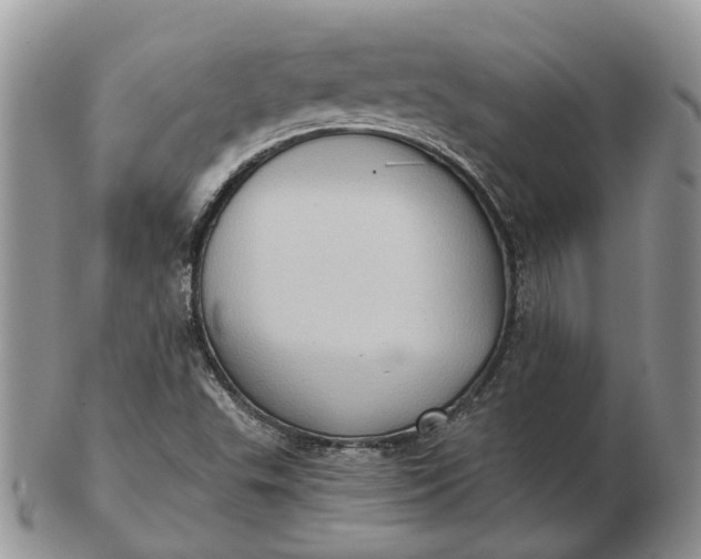 X0000102801503200809021124