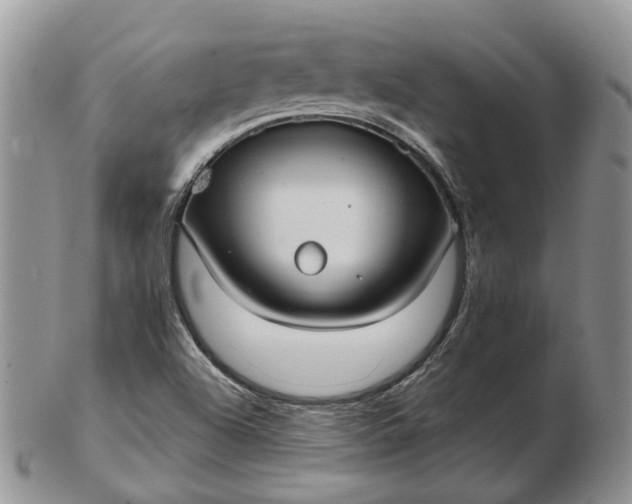 X0000102801504200809021124