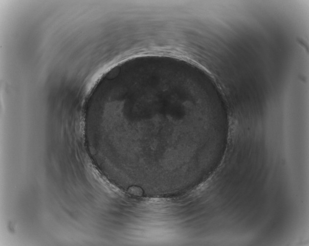 X0000102801506200809021125