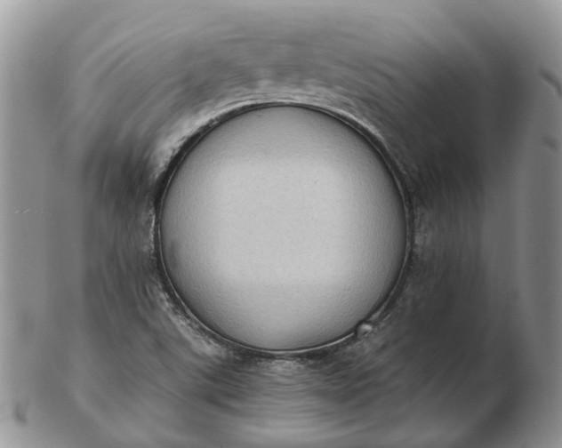 X0000102801507200809021125