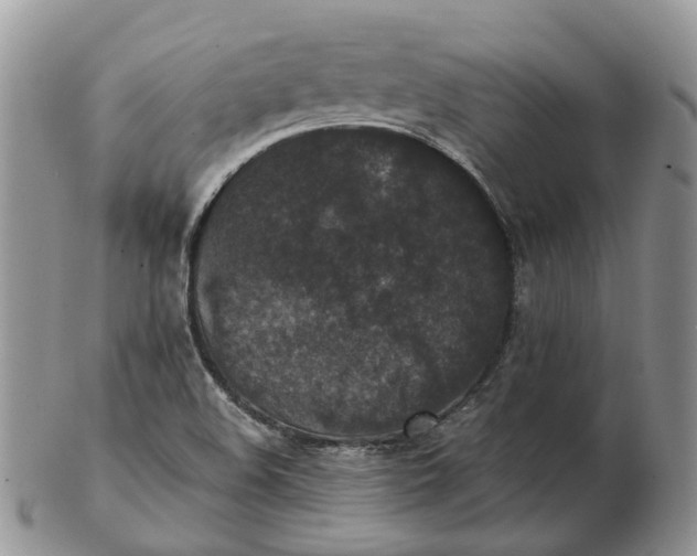 X0000102801508200809021125