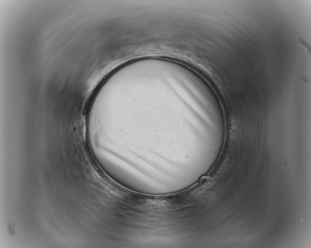 X0000102801509200809021125