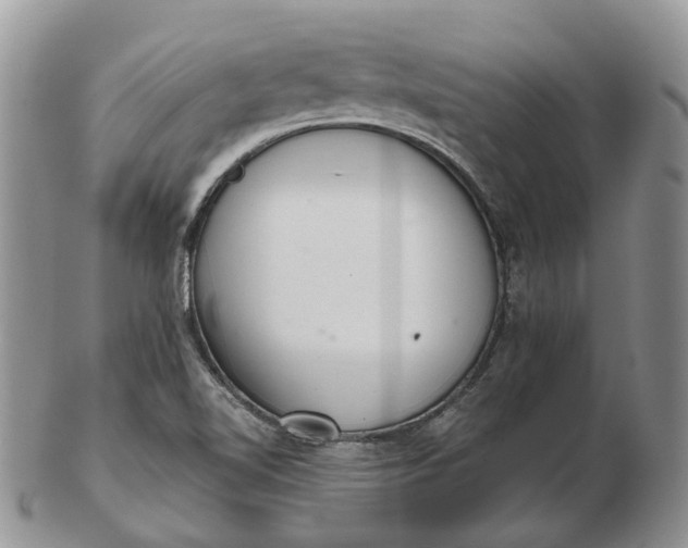 X0000102801510200809021125