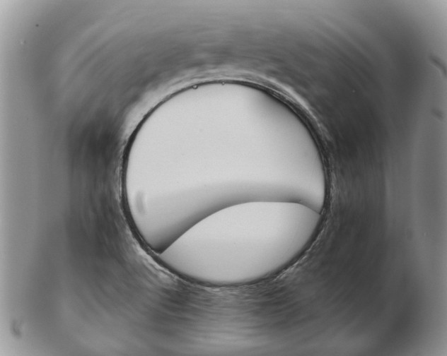 X0000102801512200809021125