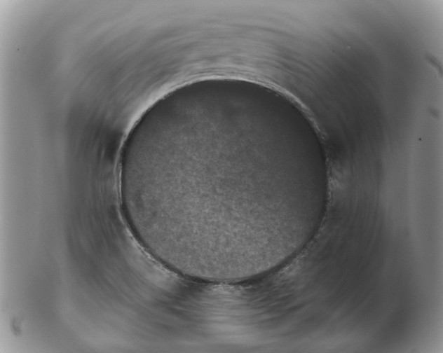 X0000102801514200809021125