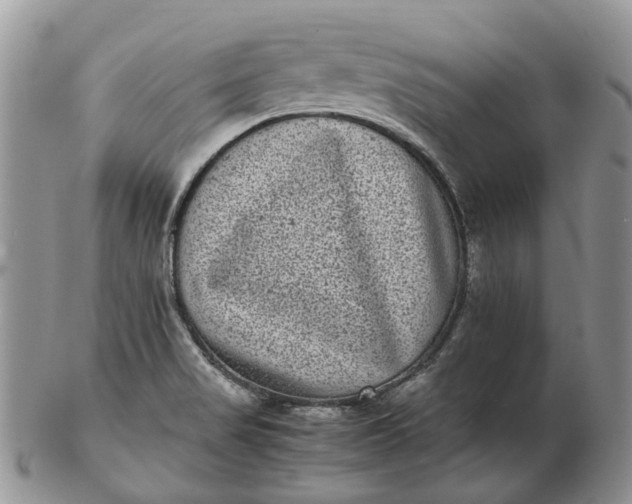 X0000102801517200809021125