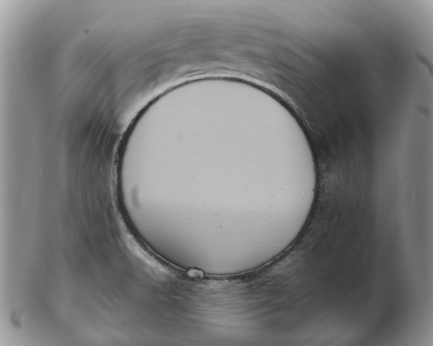 X0000102801518200809021125