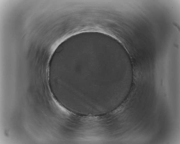 X0000102801519200809021125