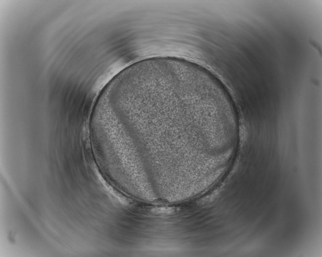 X0000102801521200809021125