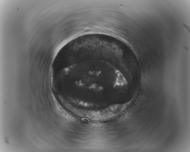 X0000102801522200809021125