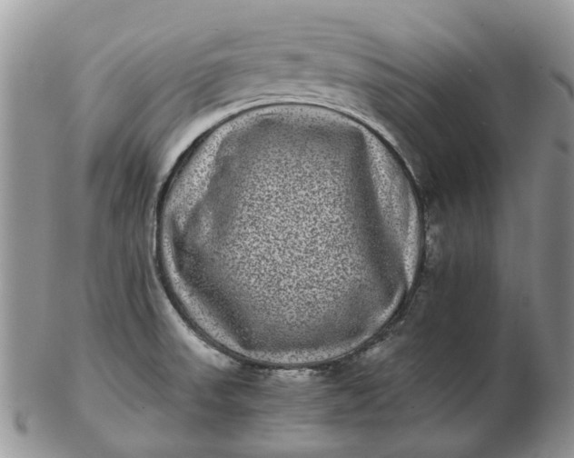 X0000102801523200809021125