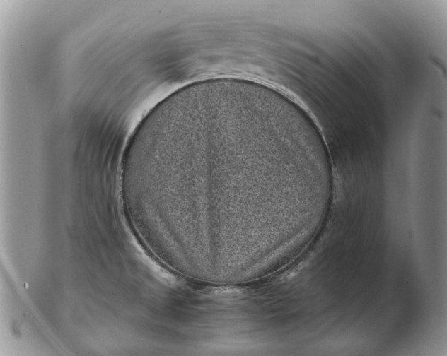 X0000102801525200809021125