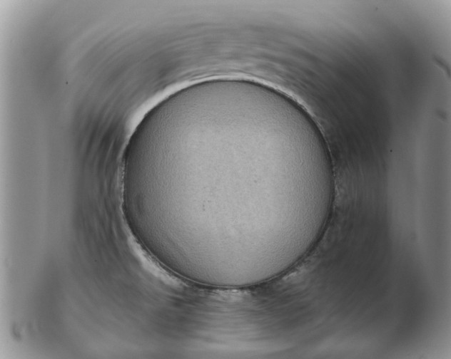 X0000102801526200809021125