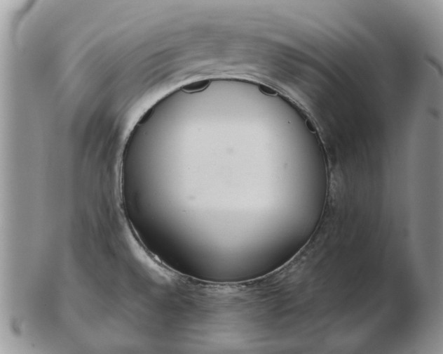 X0000102801528200809021125