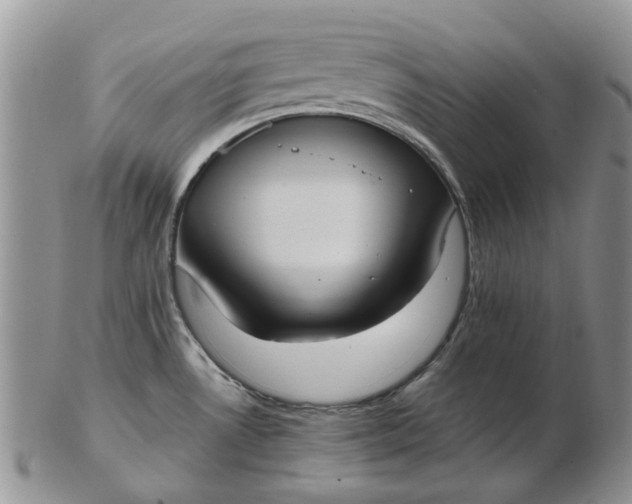 X0000102801530200809021125