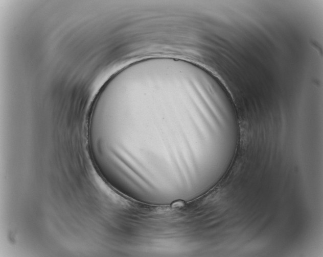 X0000102801531200809021125