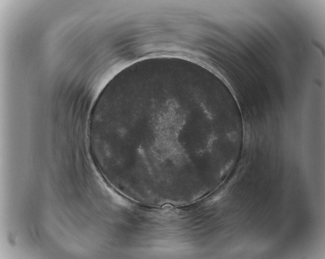 X0000102801533200809021125