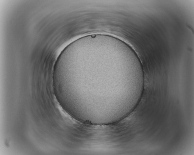 X0000102801534200809021125