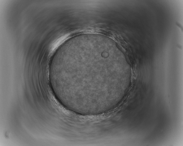 X0000102800005200809081122