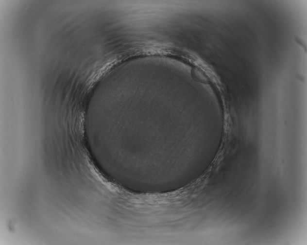 X0000102800009200809081122