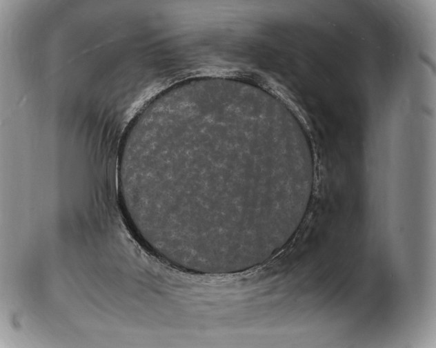 X0000102800011200809081122