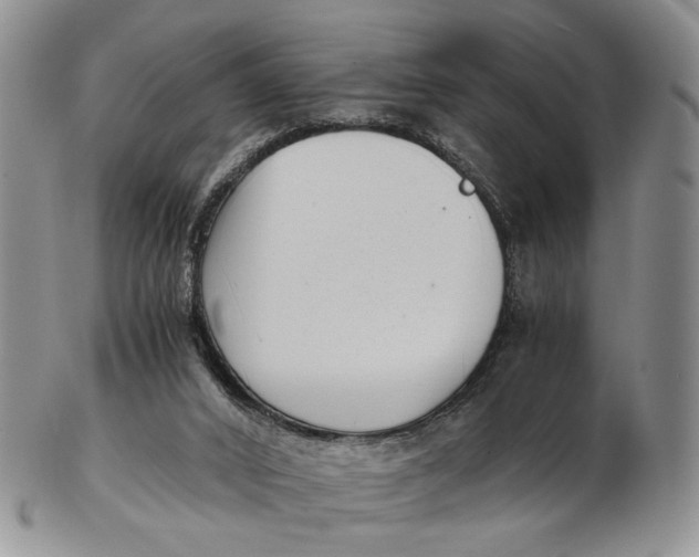 X0000102800016200809081122