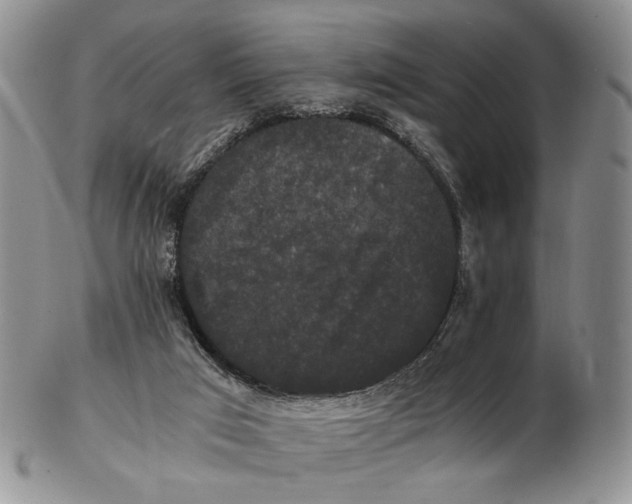 X0000102800017200809081122