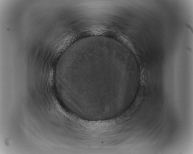 X0000102800018200809081122