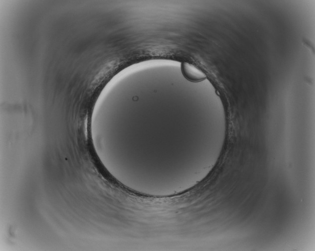 X0000102800019200809081122