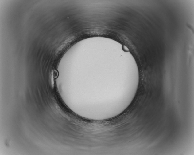 X0000102800020200809081122