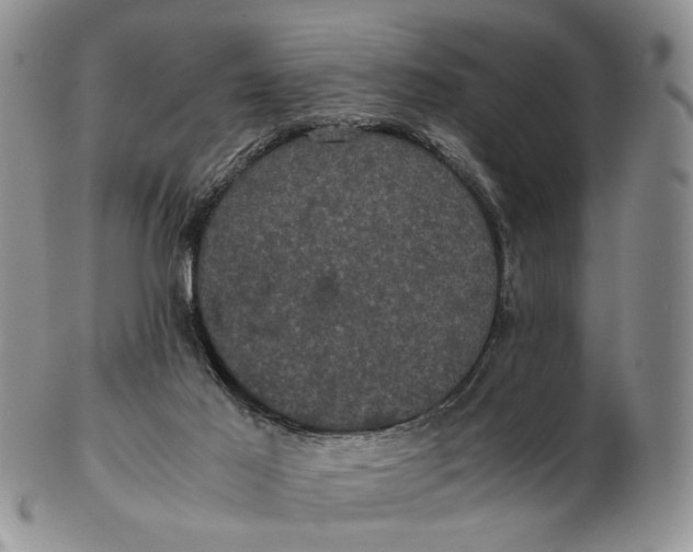 X0000102800021200809081122