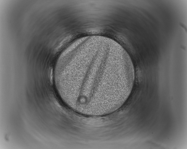 X0000102800024200809081122